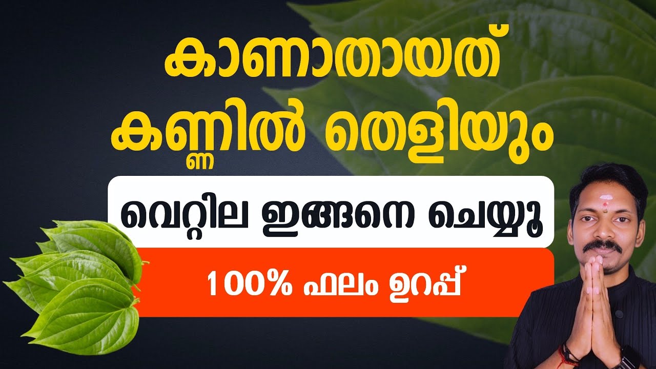 കാണാതായത് എന്തും കണ്ണിൽ തെളിയാൻ വെറ്റില ഇങ്ങനെ ചെയ്താൽ മതി. പേക്ക് മുറുക്കാൻ വയ്ക്കുന്ന രീതി.