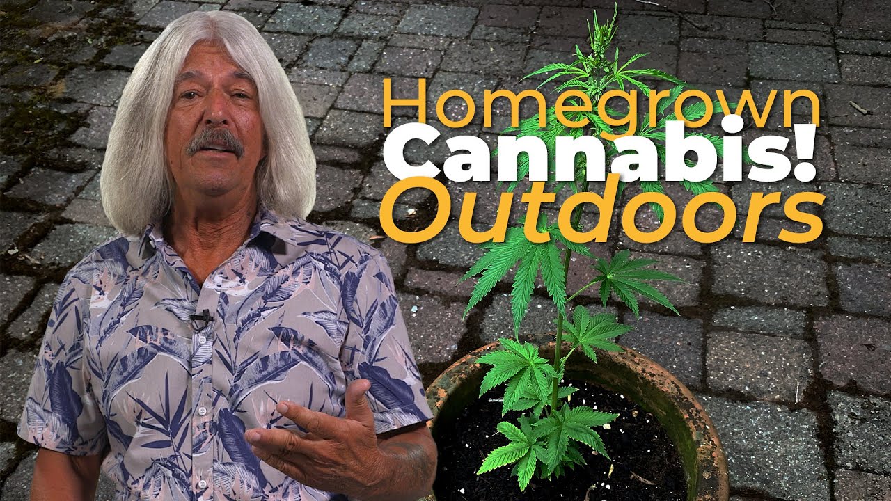 The best way to grow weed outdoors 😃