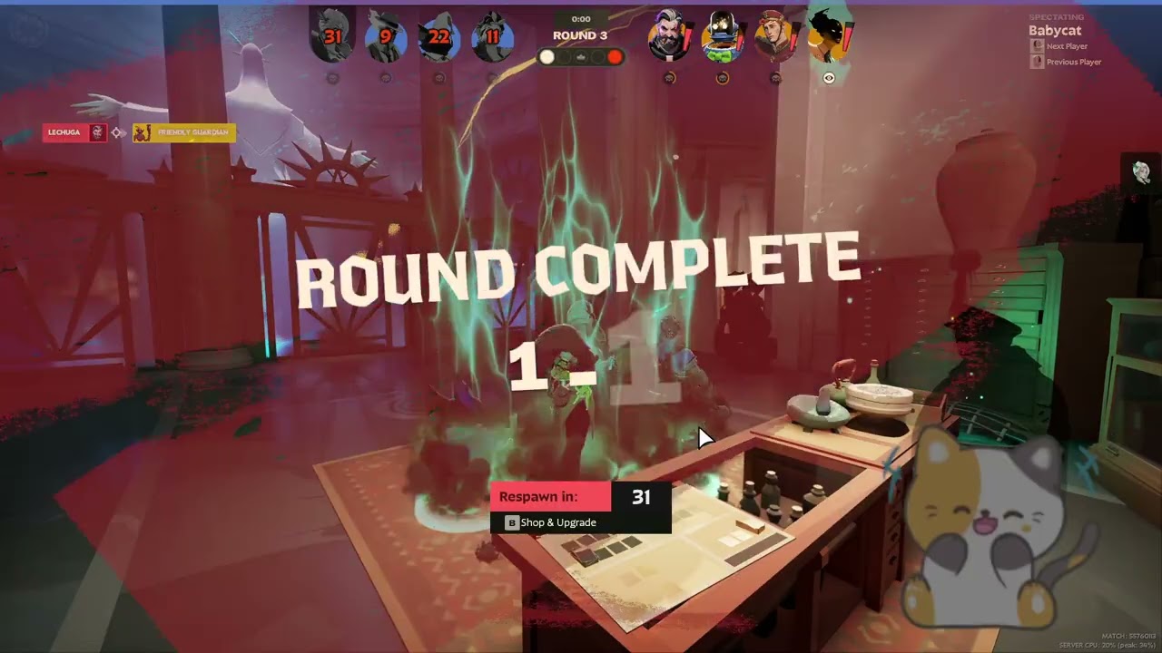 cat likes to roam but brawl is cool too ♥