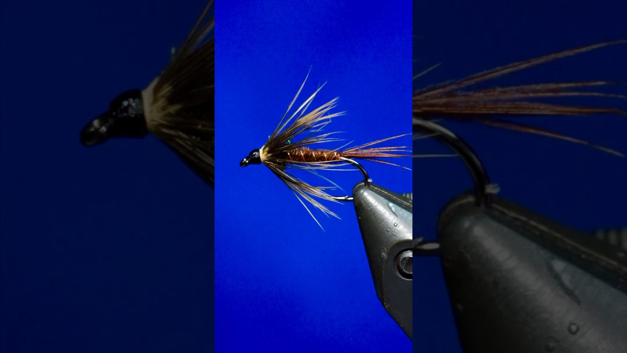 Top Stillwater Fly Patterns: Pheasant Tail Soft Hackle Nymph