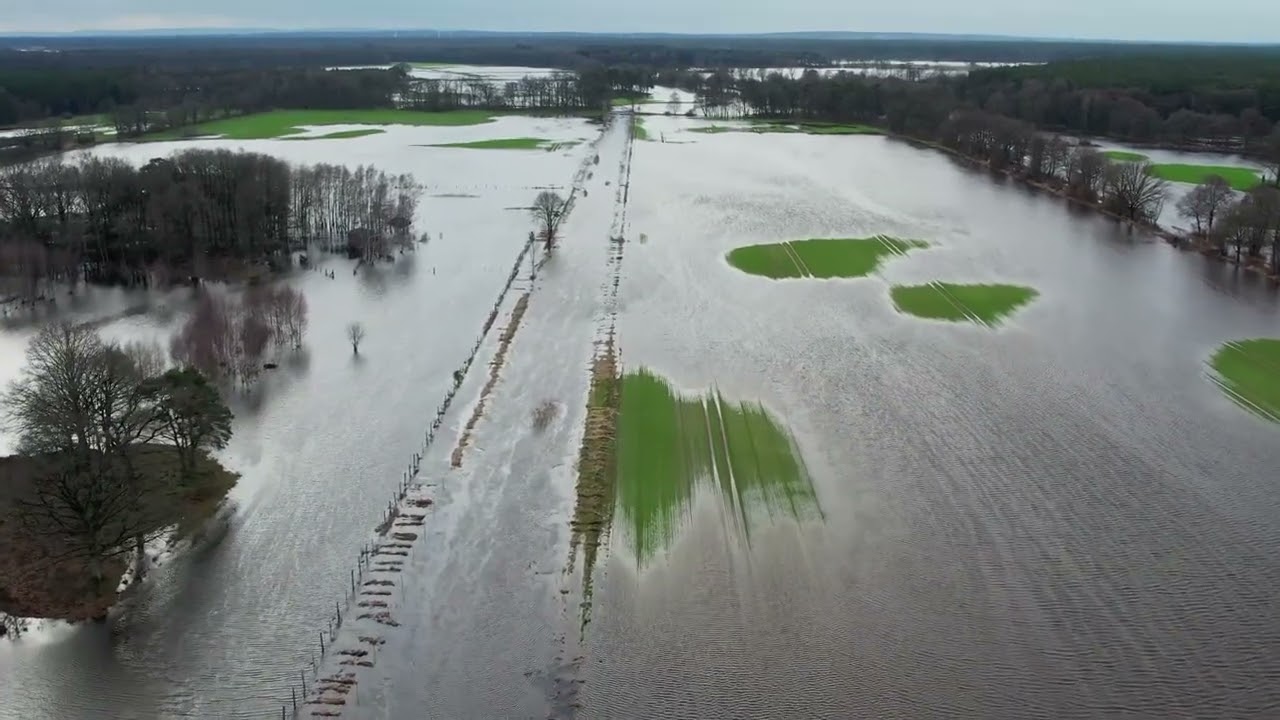 Wietze Hochwasser 28.12.2023 - Mündung in die Aller bis Meitzer Busch