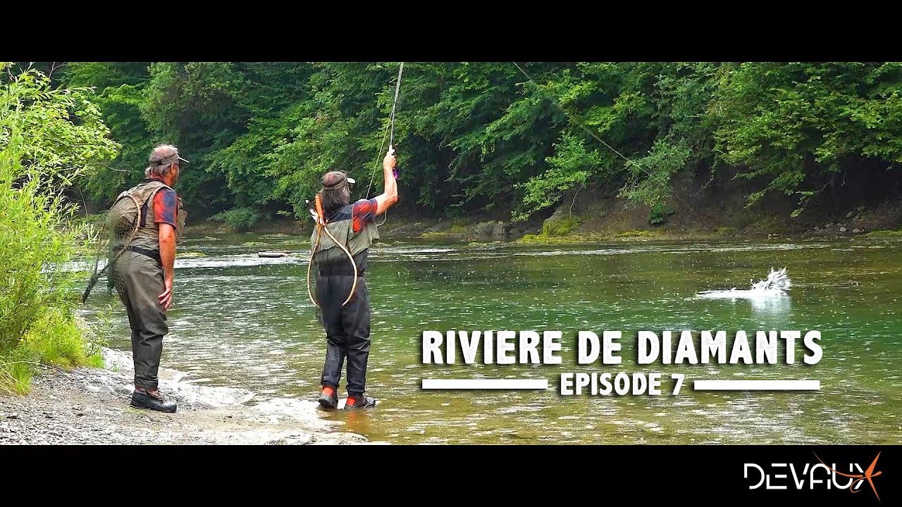 Mouches DEVAUX | « RIVIERE DE DIAMANTS » - Episode 7 : Après la pluie...