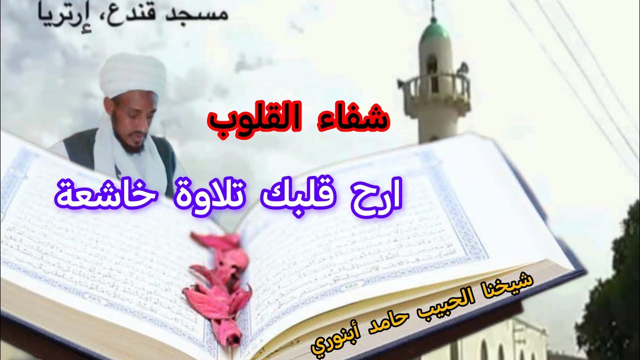 تلاوة خاشعة 