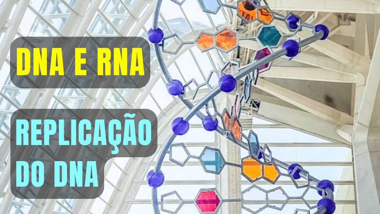 DNA e RNA: estrutura e funções - Processo de Replicação do DNA - GENÉTICA