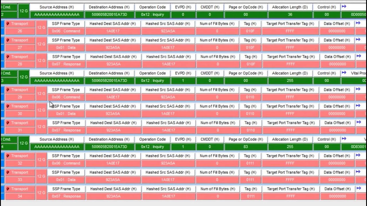 SAS  SATA Analyzer Training Packet View