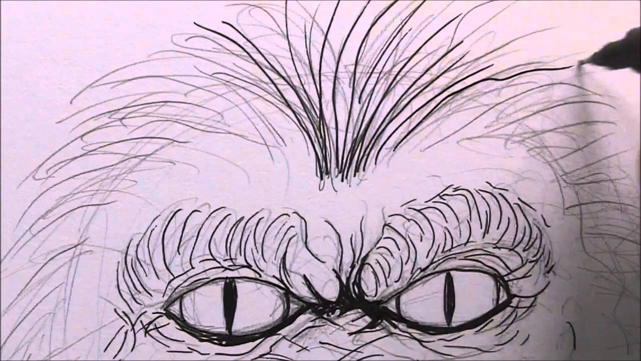 how to draw a critter