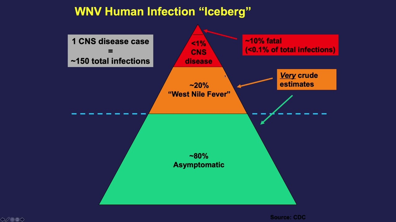Session 2 2022 Epidemiologic, Biological and immunological properties of infectious diseases