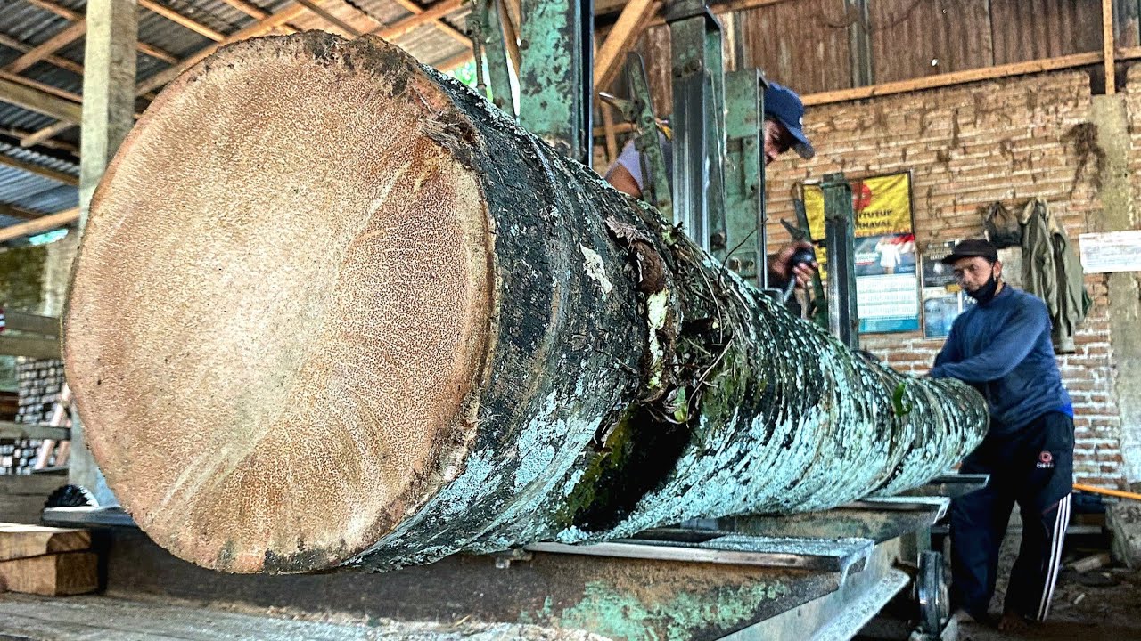 The Best Way to Saw Coconut Wood for Making Contruction Materials