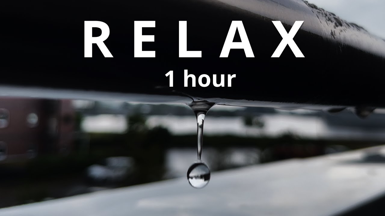 🌧️ 1 HOUR RAIN - ⌛TIMER - Follow the BREATHING animation 🧘‍♀️ + breathing sounds every 10 min