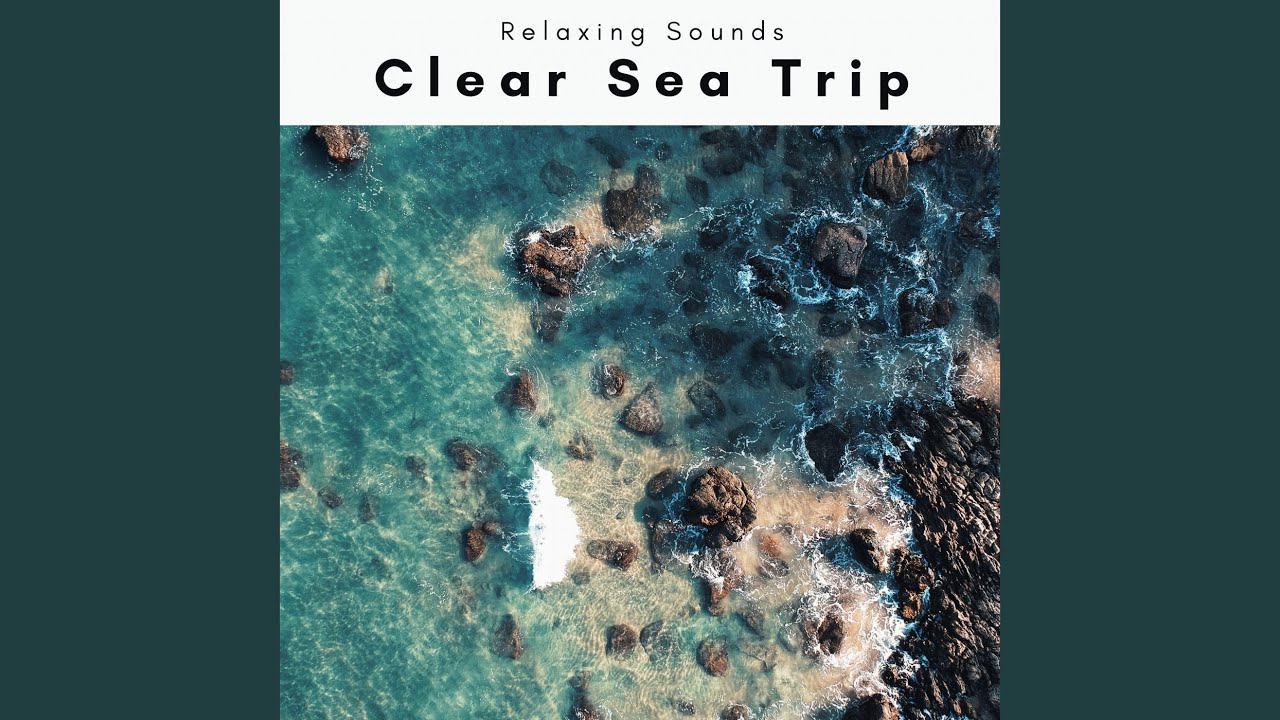 Clear Night Sea Noises Trip for Instant Relax
