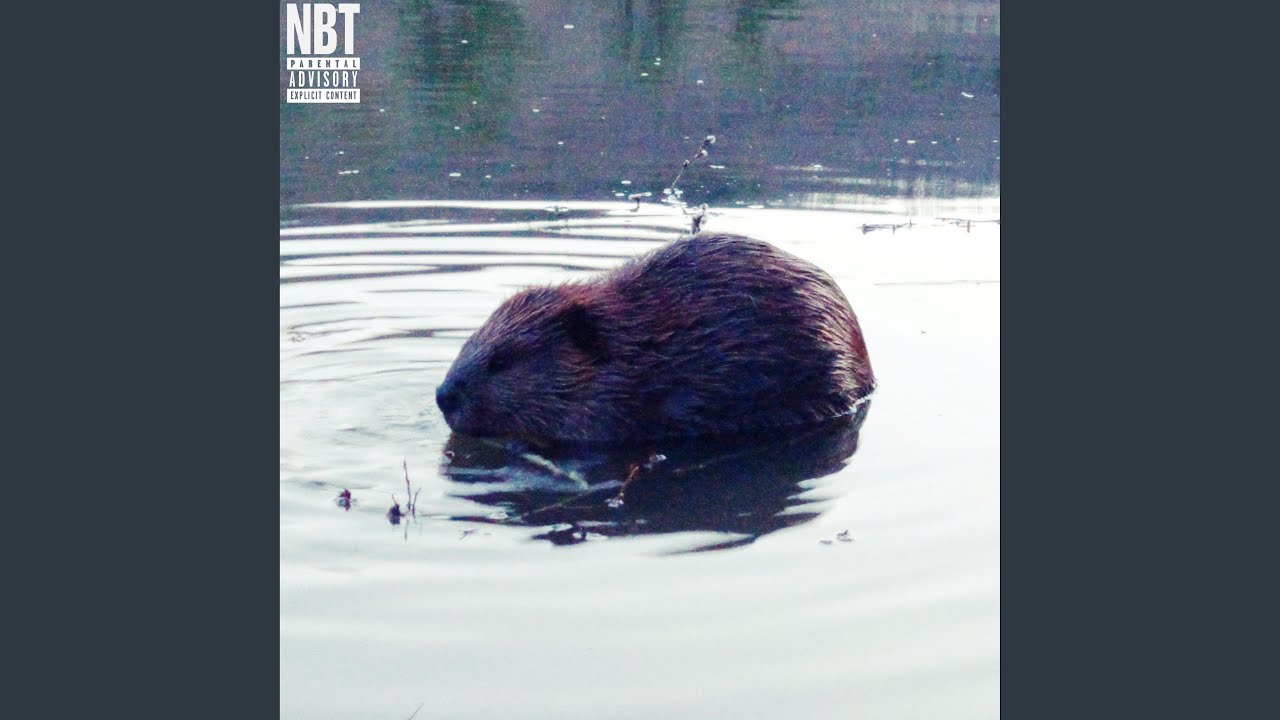 BEAVER (feat. Marlon DuBois, Milkreset, Aceii, Henry Mosto, Ricky Chix & Dugan)