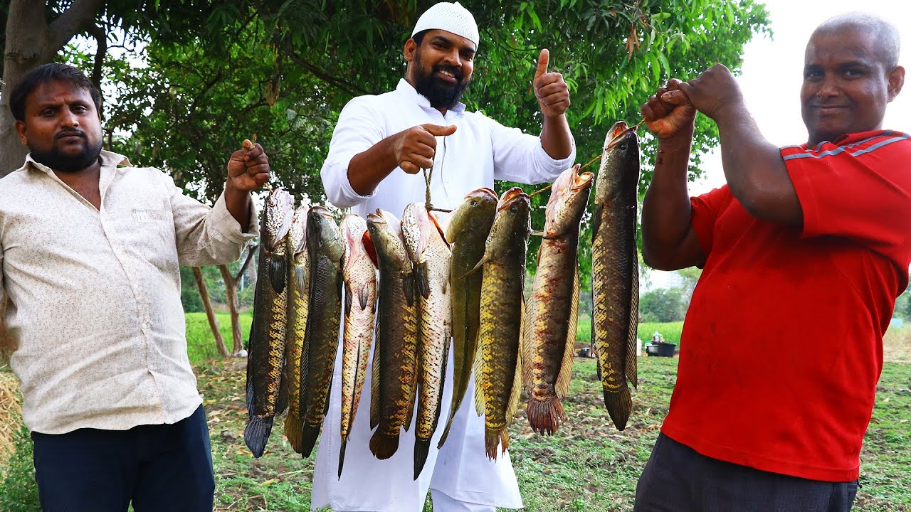 Koramenu Fish Recipe | Murrel Fish curry |Healthy Fish Curry |Nawabs