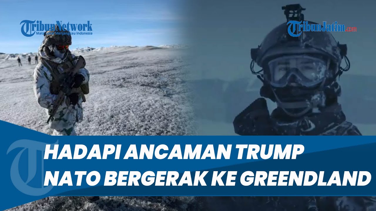 NATO Kerahkan Militer Hadapi Pasukan Donald Trump di Greenland