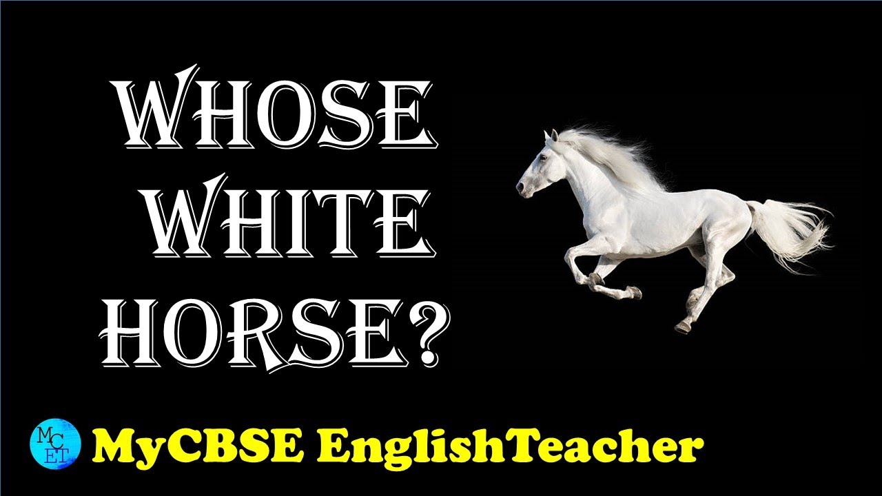 Summer of the beautiful white horse Class 11