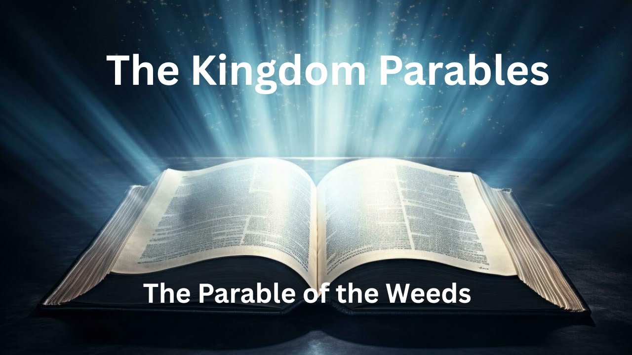 Parable of the Weeds. Don't Get Lost in the Weeds