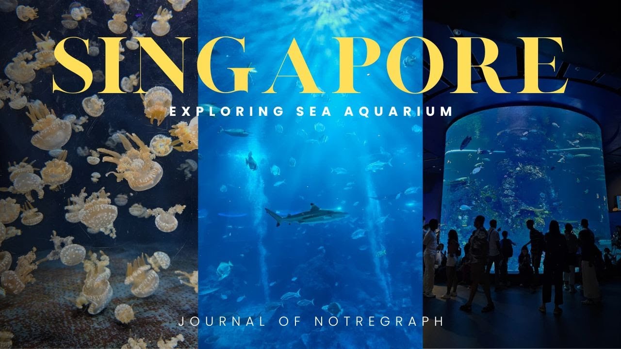 SINGAPORE days - Visiting SEA aquarium at sentosa with toddler