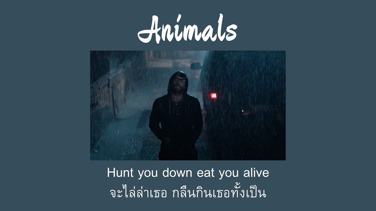 [THAISUB] Animals - Maroon 5 (แปลไทย)