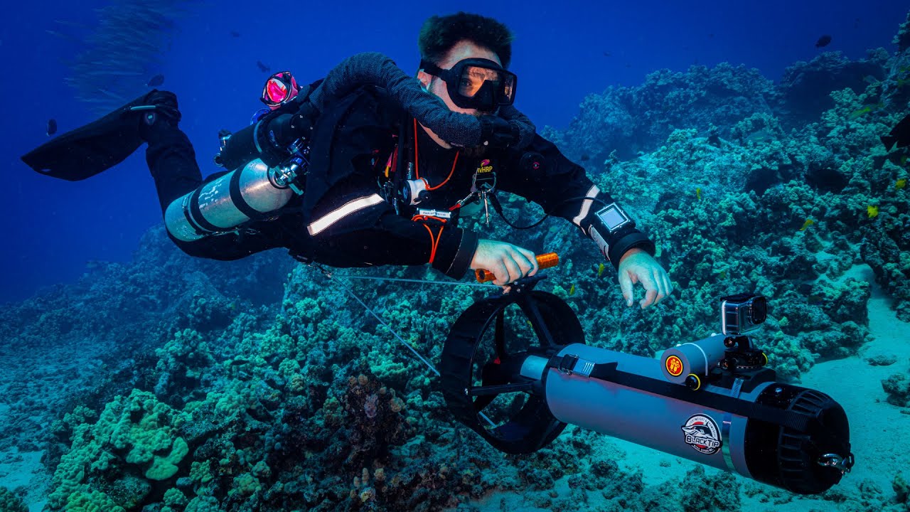 My Essential Dive Gear for EVERY Dive!