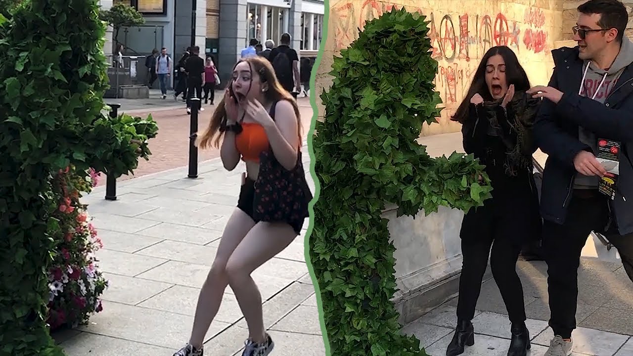 They've Gone Crazy with the Screams: Bushma Prank