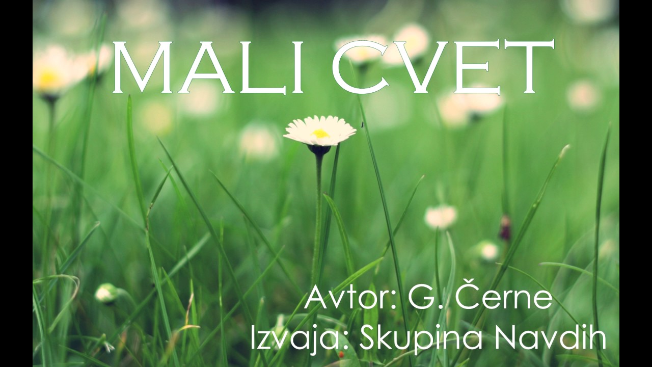 Mali cvet