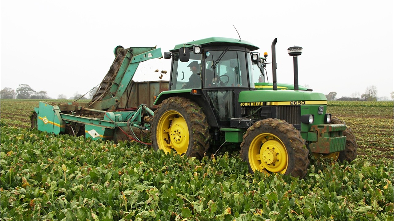 Classic John Deere 2650 and Armer Salmon Cougar three-row sugar beet harvester