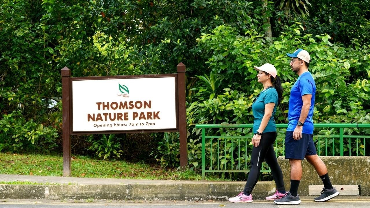 HIKING at THOMSON NATURE PARK  SINGAPORE // So Peaceful // ASMR