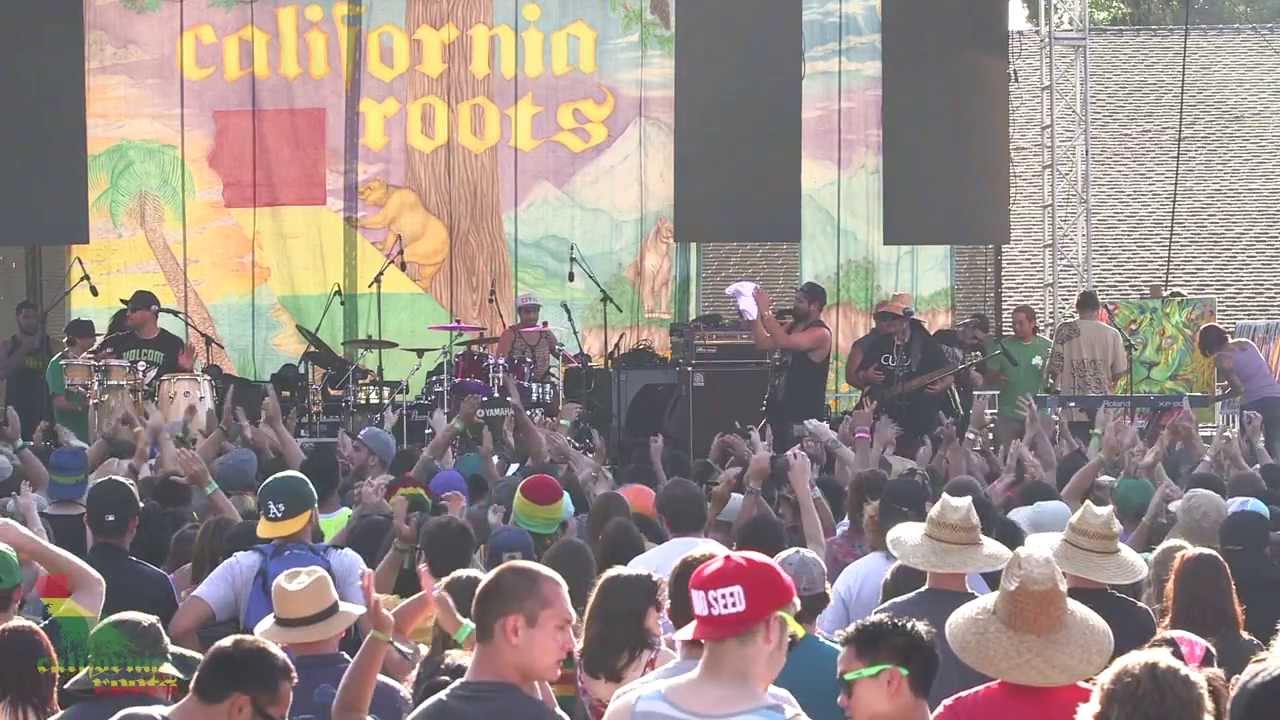 Katchafire - Done Did It (Live) California Roots Music & Arts Festival 2013