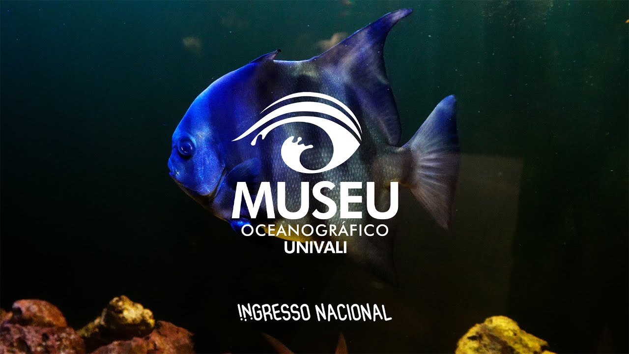 Vlog IN visita Museu Oceanográfico Univali em Balneário Piçarras/SC