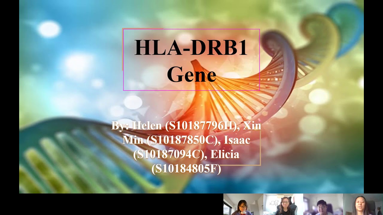 HLA-DRB1 GENE (Bioinfo)