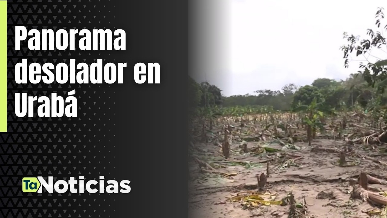 Panorama desolador en Urabá - Teleantioquia Noticias