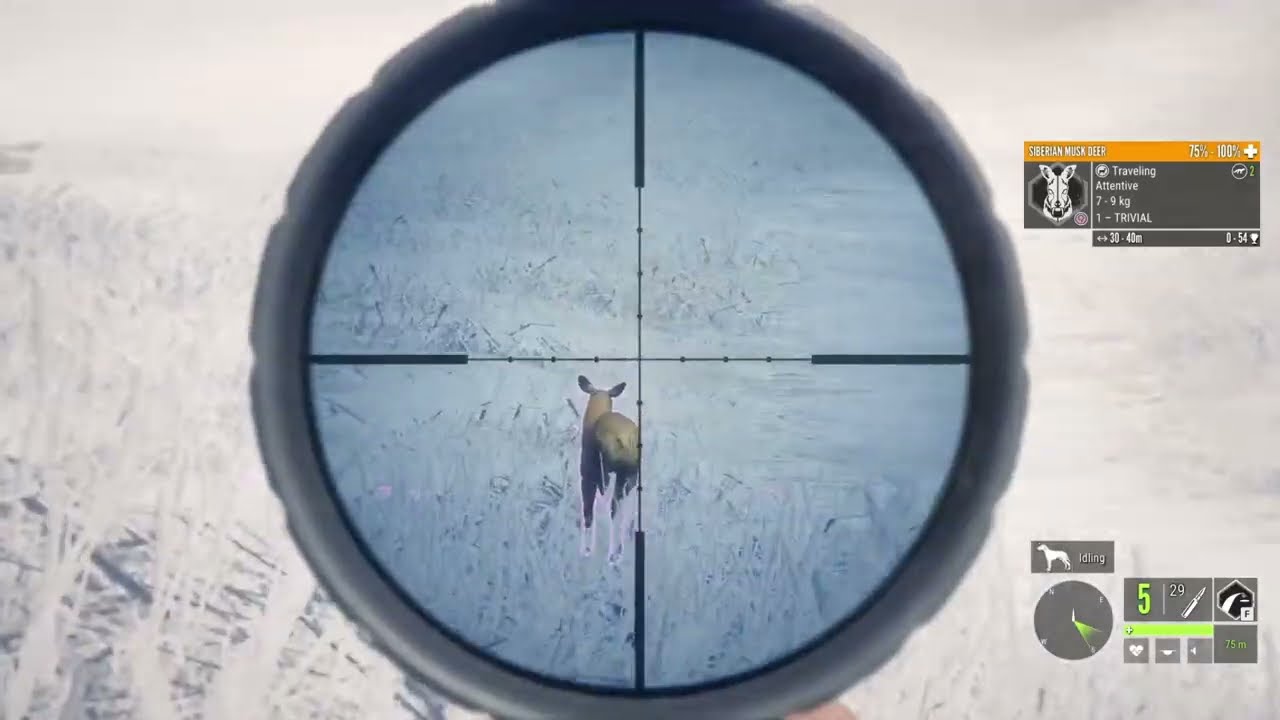 Diamond Grouse And Quick Meved Start - The Hunter Call of the Wild