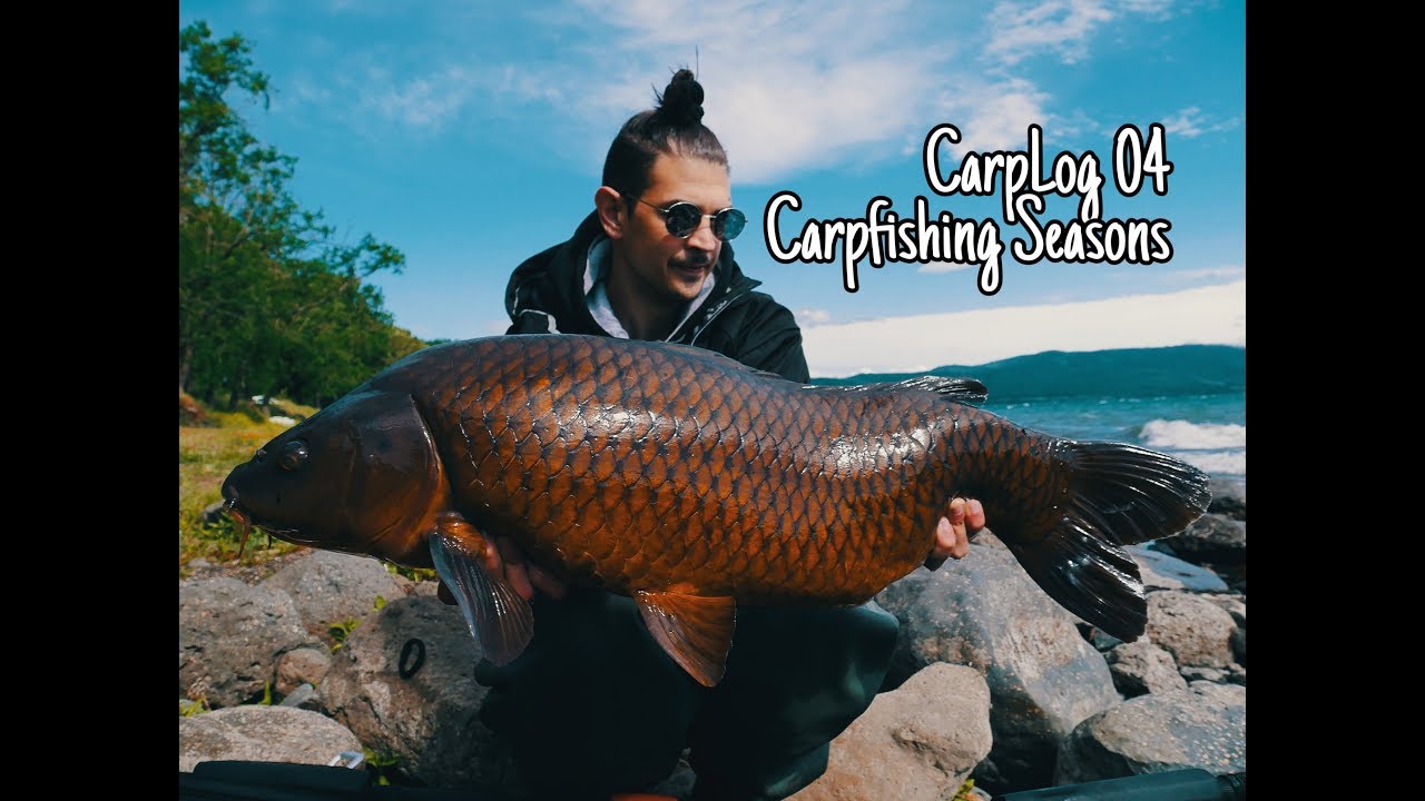 CarpLog04 Carpfishing Seasons