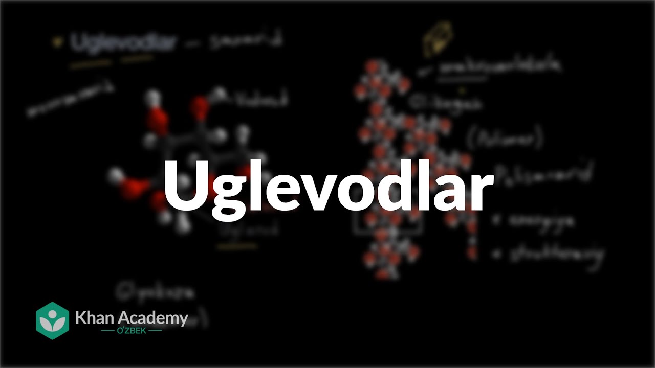 Uglevodlar | Biologiya asoslari | Yuqori sinf biologiyasi