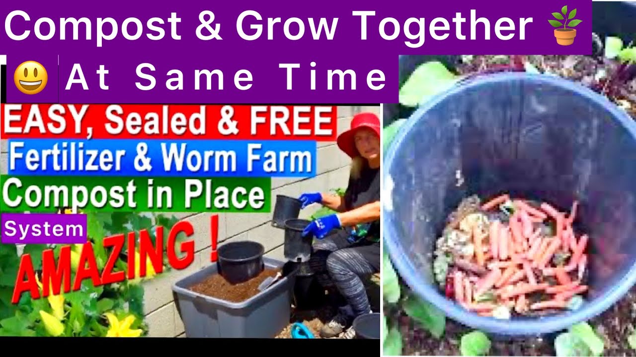 FREE Fertilizer Compost in Place NO DIG Container Garden Raised Bed for Tomatoes, Peppers Grow TONS
