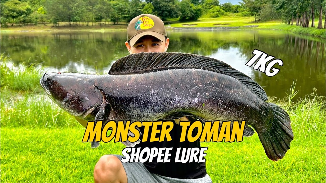 Giant Snakehead Fishing | 7kg Biggest Catch | Tarlac Recreational Park