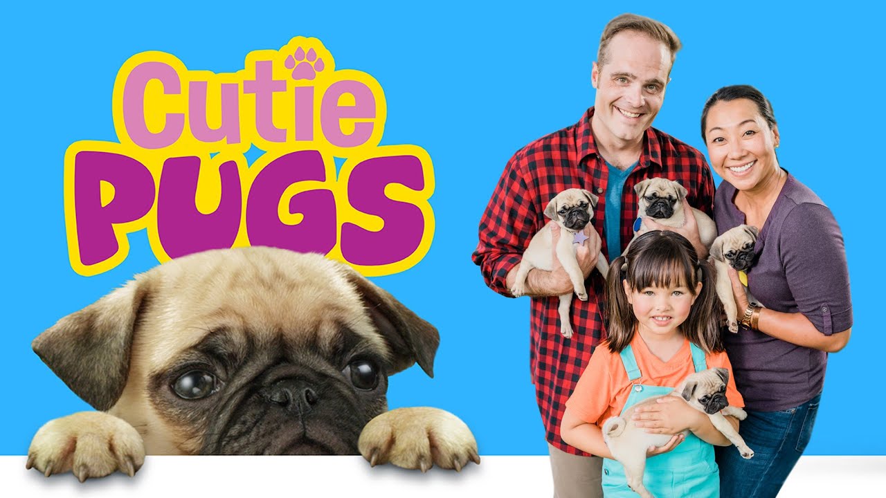 CUTIE PUGS - Brand New Trailer! 🐾