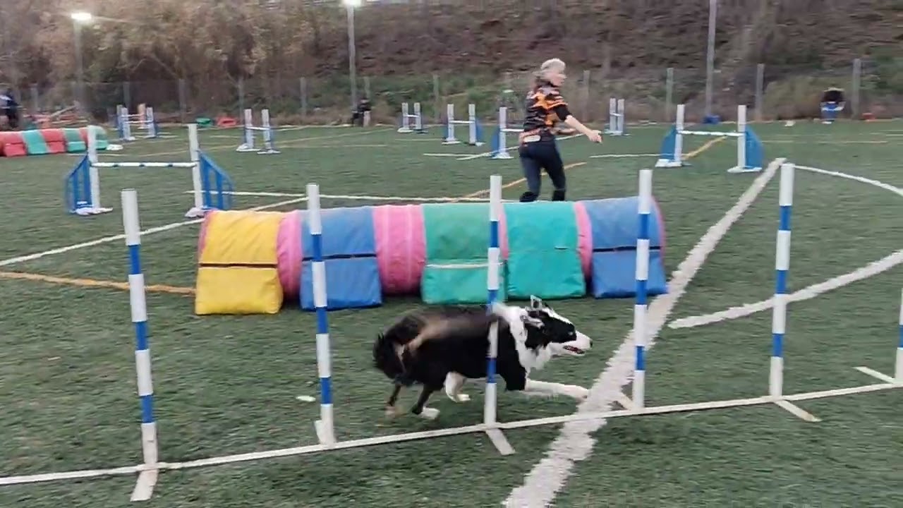 Deejay RSCE Maresme 25-01-26 Jumping Regional