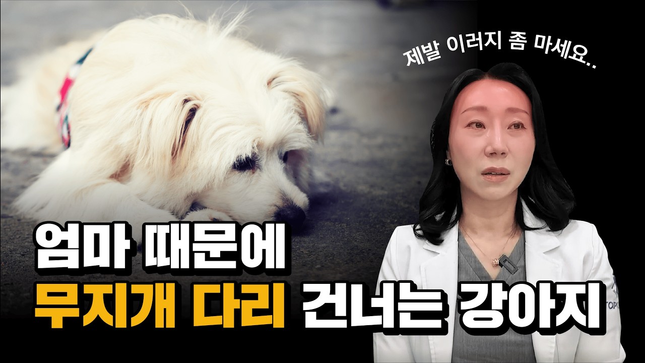 강아지가 죽기 전 보내는 '이 신호' I 보호자 99%가 밥 잘 먹는다고 무시합니다