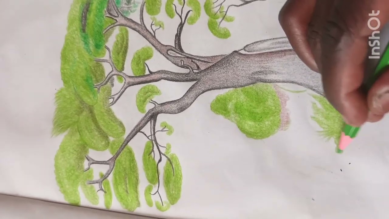 OMG😱 How To Draw a Big Beautiful Tree | Drawing is my Hobby