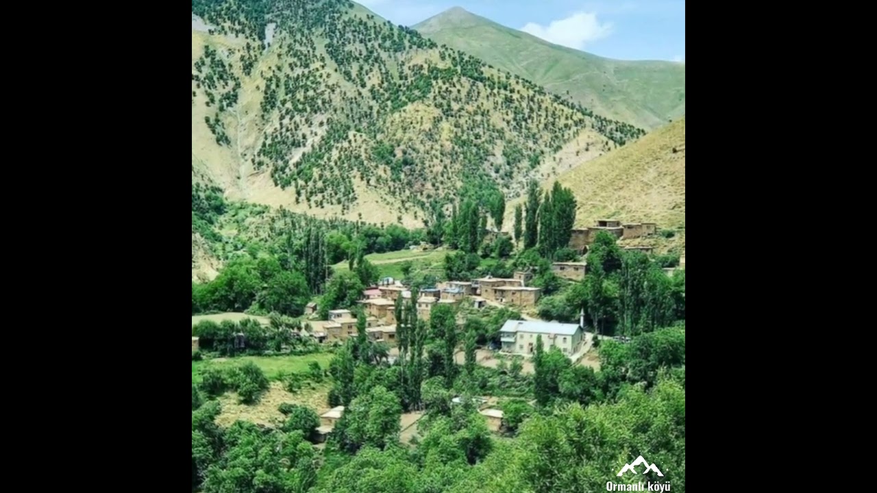 siirt şirvan ormanlı köyü