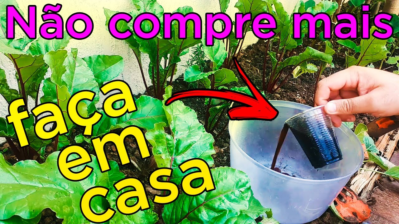 Chorume O que é e Como Utilizar nas plantas