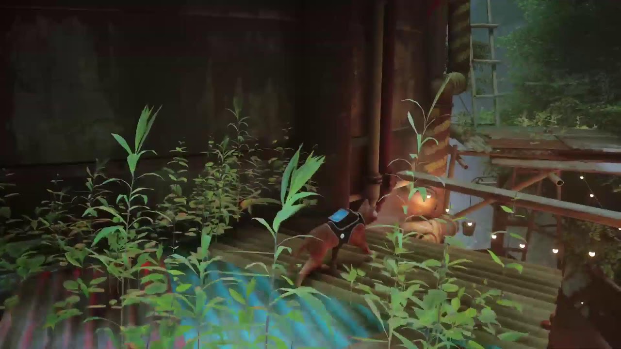 STRAY: (Producers Choice) Prt 3 Gameplay PS5 😸👍
