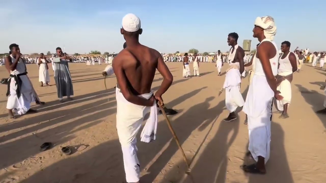 هيثم زمراوي - السمحه بت عثمان غزالي