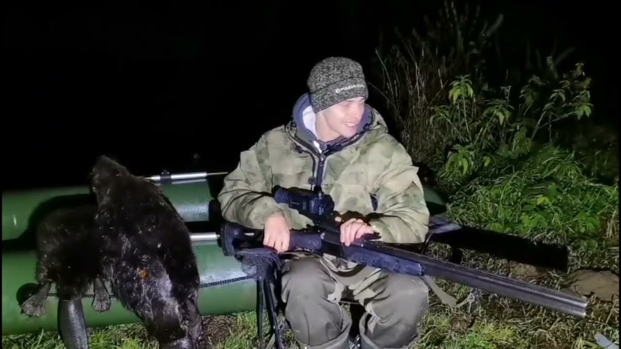 Охота на Бобра с ружьём и тепловизионным прицелом.