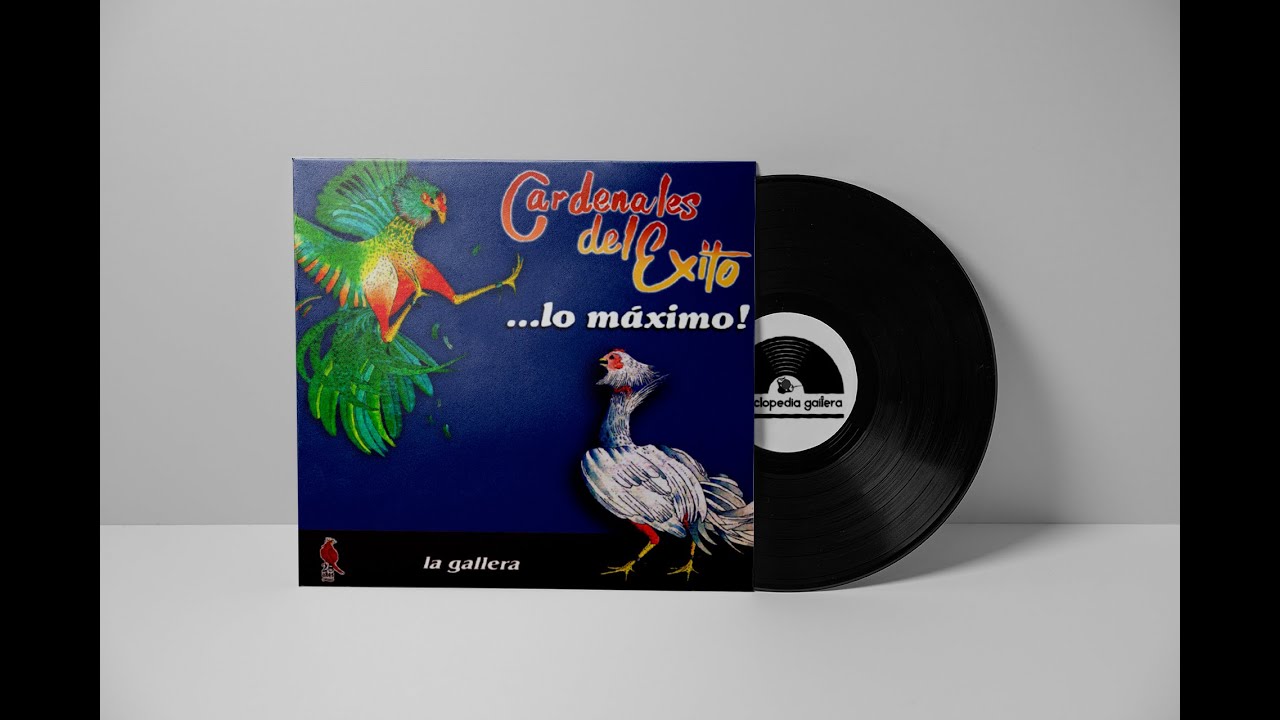 Cardenales del Éxito | Amor en Puerto La Cruz - Jesús 
