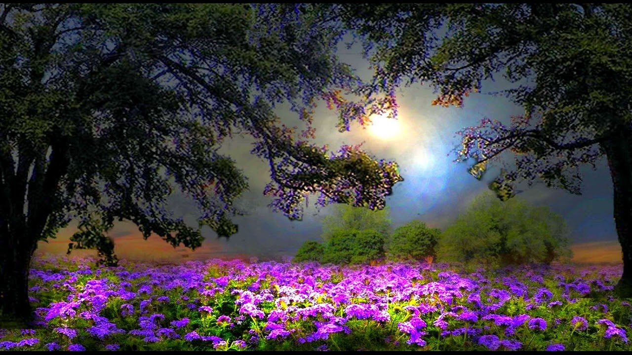 А  Фет  Сияла ночь. Луной был полон сад #стихиолюбви #поэты19века