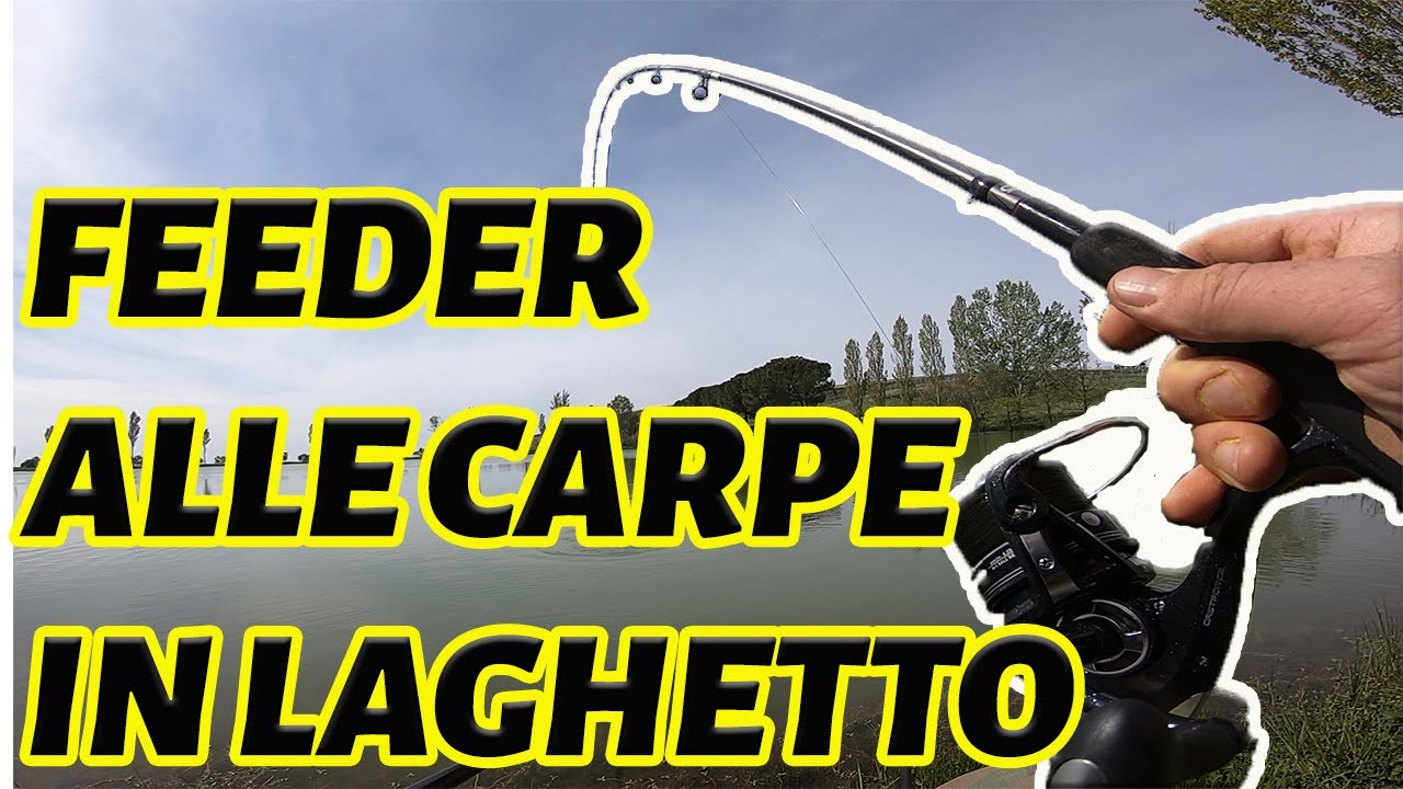 COME PESCARE LE CARPE A METHOD FEEDER | LAGO FENICOTTERO ROSA