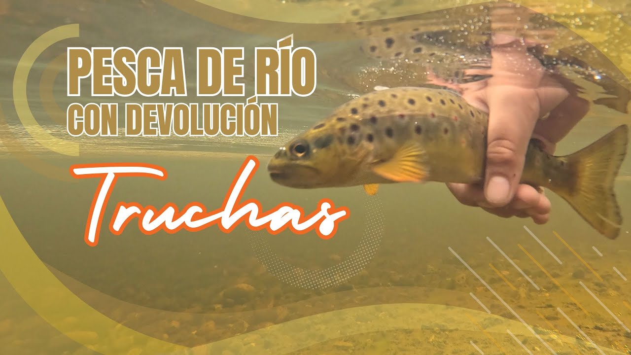 PESCA de RíO en CHILOÉ  🔴 Últimos Piques de Año