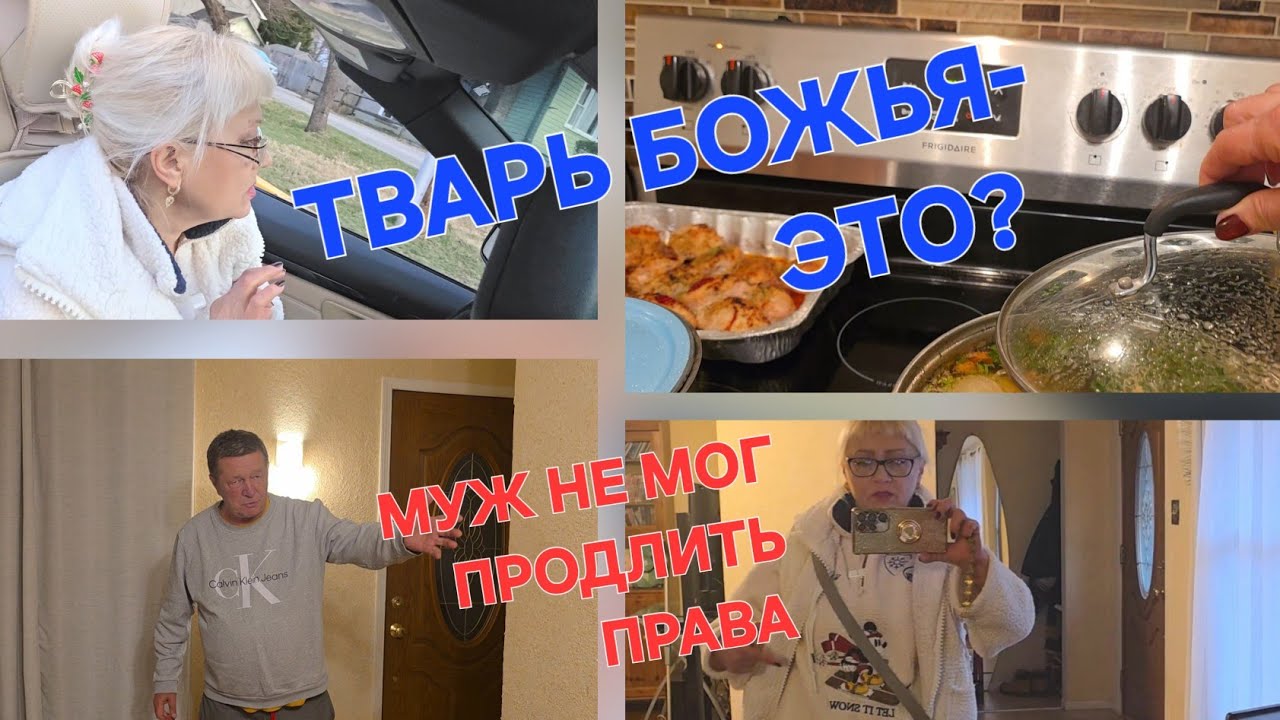 ГРЫБЫ ОТСЮДА:БОЛЬШАЯ ГОТОВКА//КНУТОМ И ПРЯНИКОМ// НОРМАЛЬНО ВЪЕХАЛА//ВАШИ КОММЕНТЫ:ПАСЫНОК, БМВ