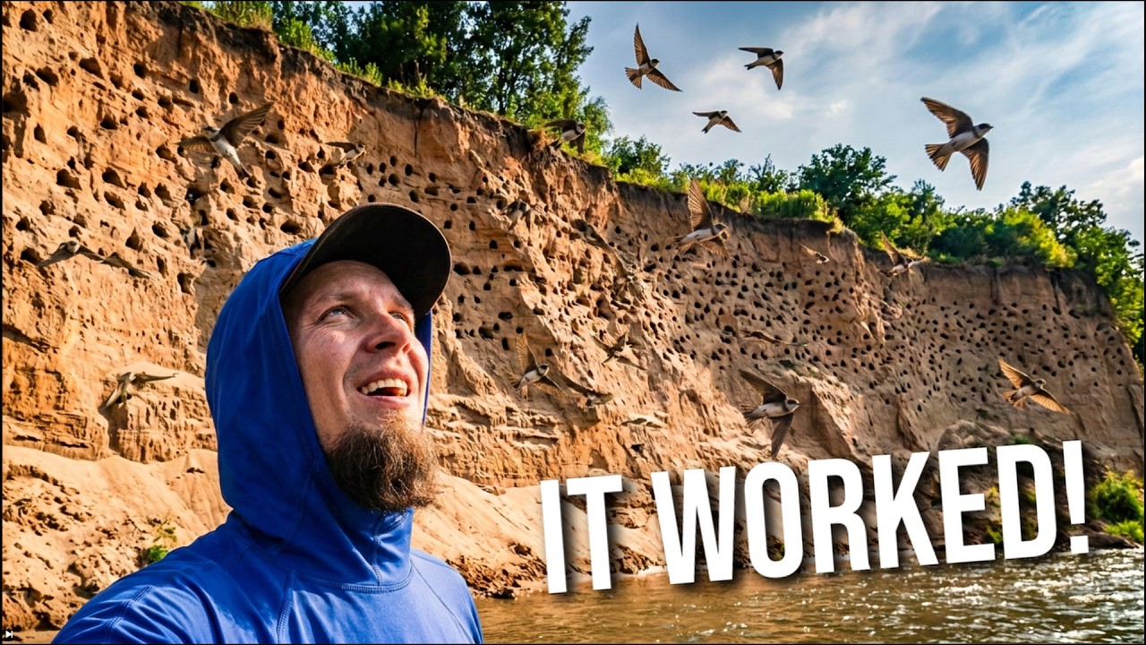 3 Months Ago we Built a Sand Wall - now it's full of birds